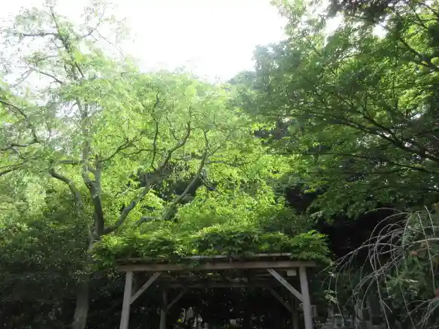 安國論寺(安国論寺)の自然