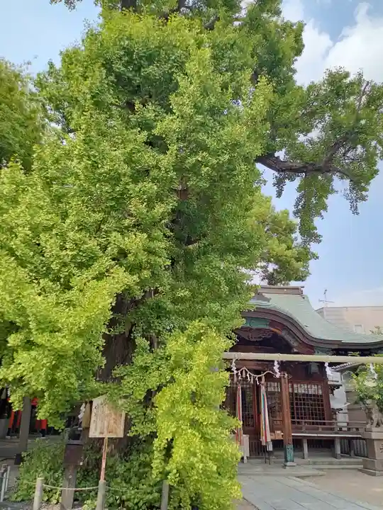 白山神社(大阪府)