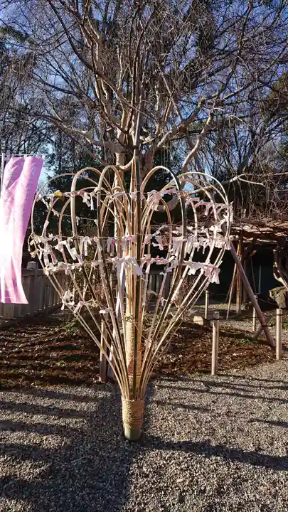 城山八幡宮のおみくじ