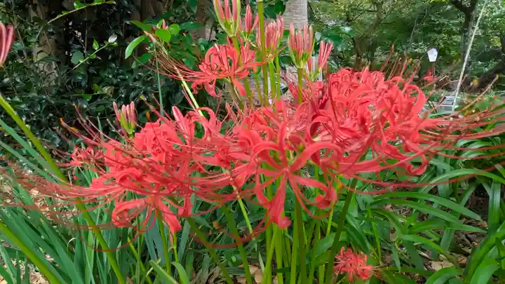 平野神社(京都府)