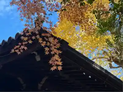 四合稲荷神社(東京都)