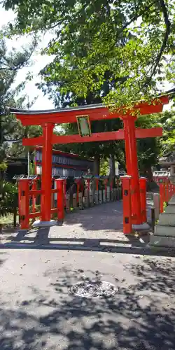 若松神社の鳥居