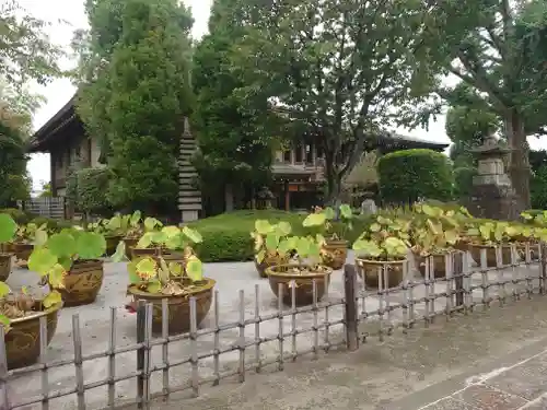 金剛院(東京都)