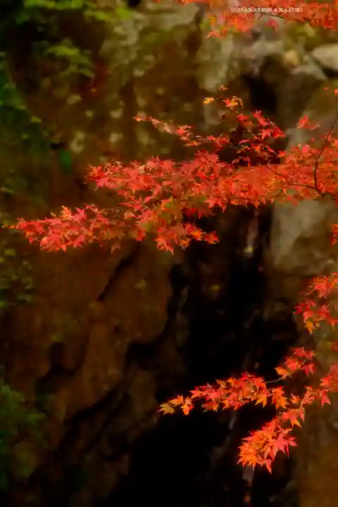 大山阿夫利神社(神奈川県)