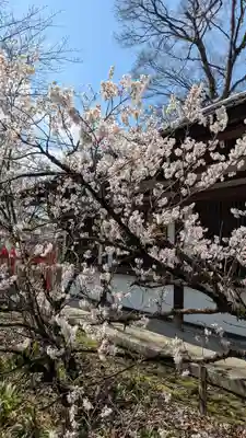 平野神社(京都府)