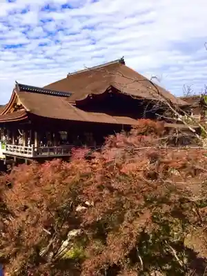 清水寺(京都府)