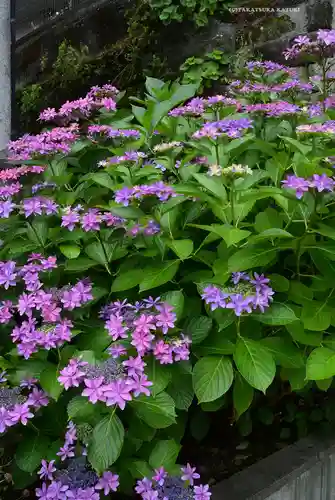 成田山横浜別院延命院(神奈川県)