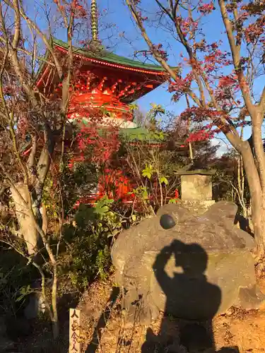 如意輪寺の塔