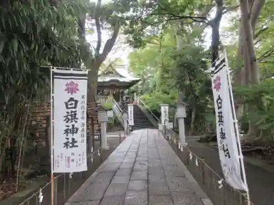 白旗神社(神奈川県)