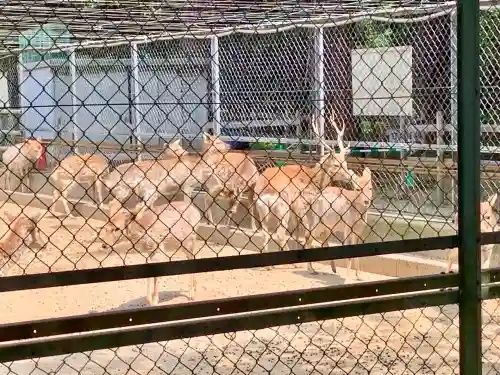 鹿島神宮(茨城県)