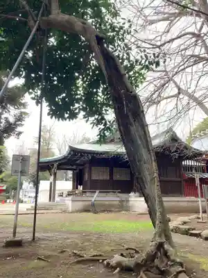 峯ヶ岡八幡神社(埼玉県)