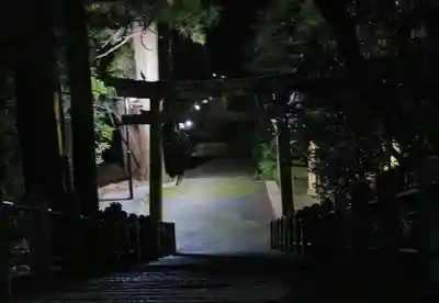 白山比咩神社の鳥居