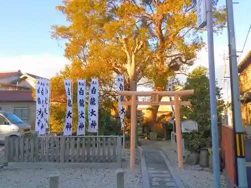 白龍神社の鳥居