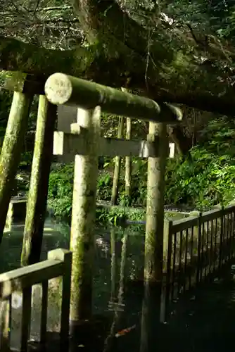 奥宮(鹿島神宮摂社)(茨城県)
