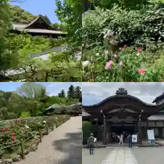 長谷寺(奈良県)