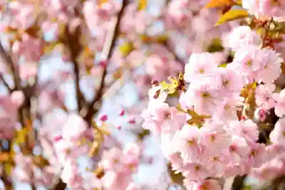 留萌神社(北海道)