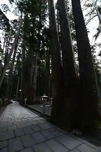 高野山金剛峯寺奥の院(和歌山県)