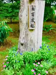 千勝神社の建物その他