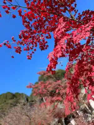 常樂寺(滋賀県)