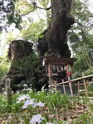 來宮神社(静岡県)