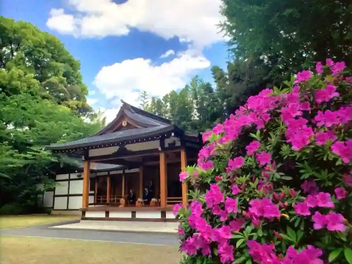 阿佐ヶ谷神明宮(東京都)