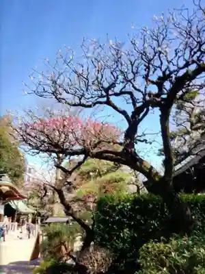 布多天神社(東京都)
