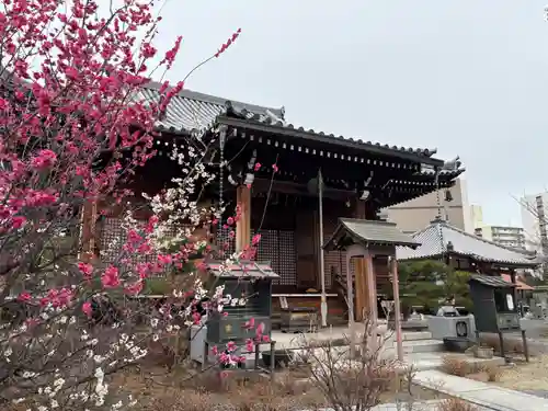 蓮花寺(大阪府)