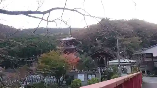 浄発願寺の景色