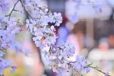 寛永寺開山堂(東京都)