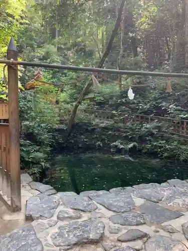 八重垣神社の庭園