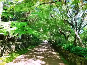 国宝 長寿寺のその他建物(2021年06月13日(日) 20時01分51秒投稿)