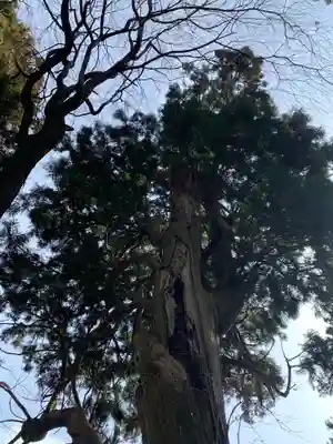 川辺八幡神社(福島県)