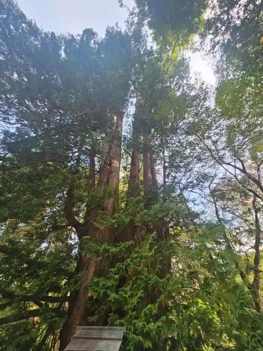 伊佐須美神社(福島県)