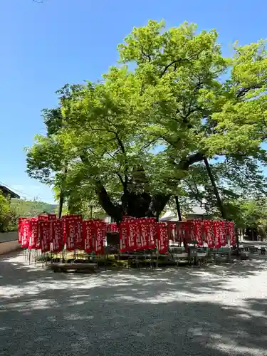 秩父今宮神社(埼玉県)