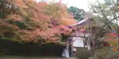 鍬山神社(京都府)