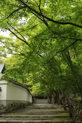 神峯山寺(大阪府)