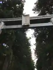 北口本宮冨士浅間神社の鳥居