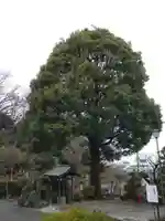 安立寺(神奈川県)