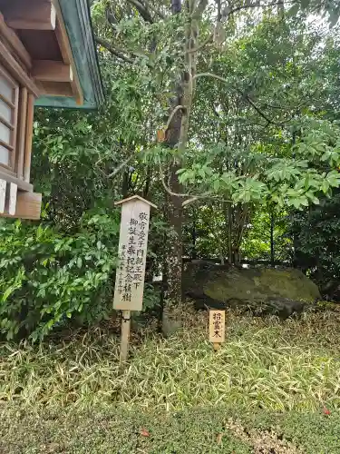 寒川神社(神奈川県)
