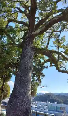 鹿山神社(長崎県)