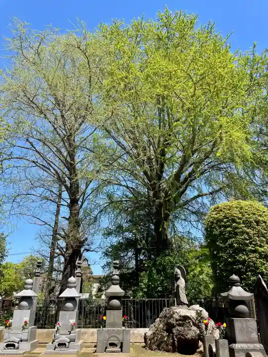 明治寺の{uncategorized: "未分類", other: "その他", undefined: "問題あり", building: "その他建物", grave: "お墓", sacred_gate: "鳥居", guardian: "狛犬", statue: "像", buddha: "仏像", history: "歴史", nature: "自然", garden: "庭園", animal: "動物", pagoda: "塔", temizu: "手水舎", mountain_gate: "山門・神門", sanctuary: "本殿・本堂", subordinate: "末社・摂社", art: "芸術", scenery: "景色", jizo: "地蔵", ema: "絵馬", goshuin: "御朱印", omikuji: "おみくじ", items: "授与品その他", amulet: "お守り", goshuincho: "御朱印帳", eats: "食事", festival: "お祭り", votive_dance: "神楽", shichigosan: "七五三参", wedding: "結婚式", experience: "体験その他", initially: "初詣", around: "周辺", anti_infection: "感染症対策"}