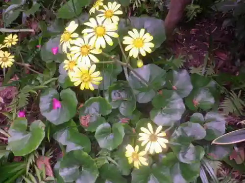 浄光明寺の自然