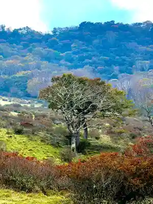 赤城神社(群馬県)
