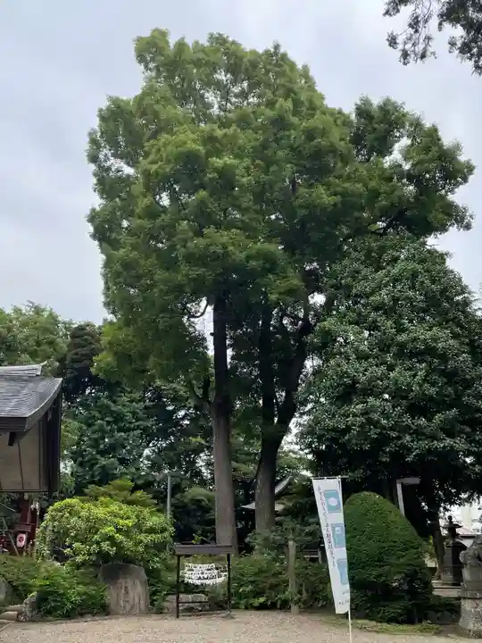 中野氷川神社の庭園