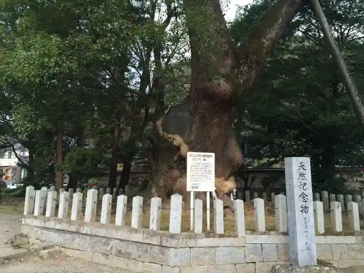 大分八幡宮(福岡県)