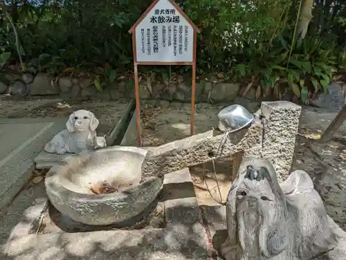 弓弦羽神社(兵庫県)