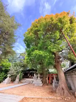 河内國魂神社の{uncategorized: "未分類", other: "その他", undefined: "問題あり", building: "その他建物", grave: "お墓", sacred_gate: "鳥居", guardian: "狛犬", statue: "像", buddha: "仏像", history: "歴史", nature: "自然", garden: "庭園", animal: "動物", pagoda: "塔", temizu: "手水舎", mountain_gate: "山門・神門", sanctuary: "本殿・本堂", subordinate: "末社・摂社", art: "芸術", scenery: "景色", jizo: "地蔵", ema: "絵馬", goshuin: "御朱印", omikuji: "おみくじ", items: "授与品その他", amulet: "お守り", goshuincho: "御朱印帳", eats: "食事", festival: "お祭り", votive_dance: "神楽", shichigosan: "七五三参", wedding: "結婚式", experience: "体験その他", initially: "初詣", around: "周辺", anti_infection: "感染症対策"}