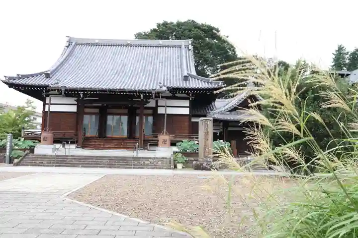 善導寺の本殿・本堂