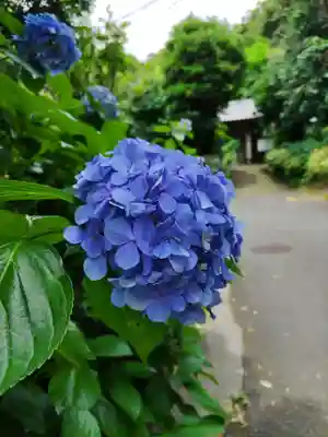 岩殿寺のその他建物