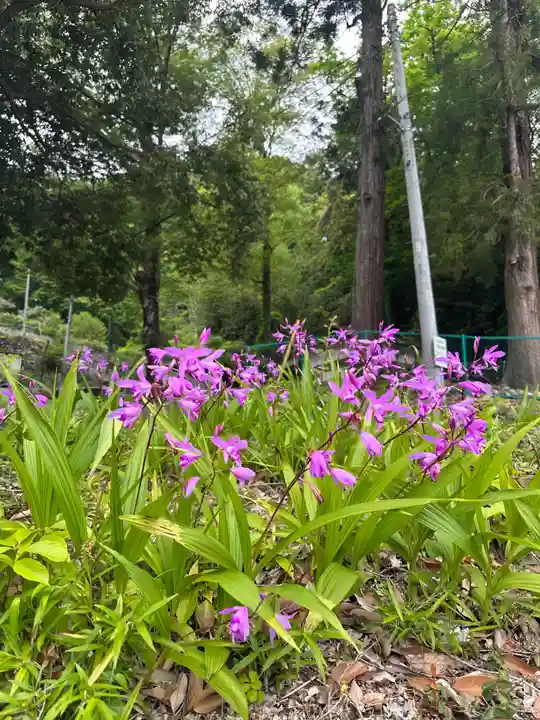 皷楽神社(山梨県)